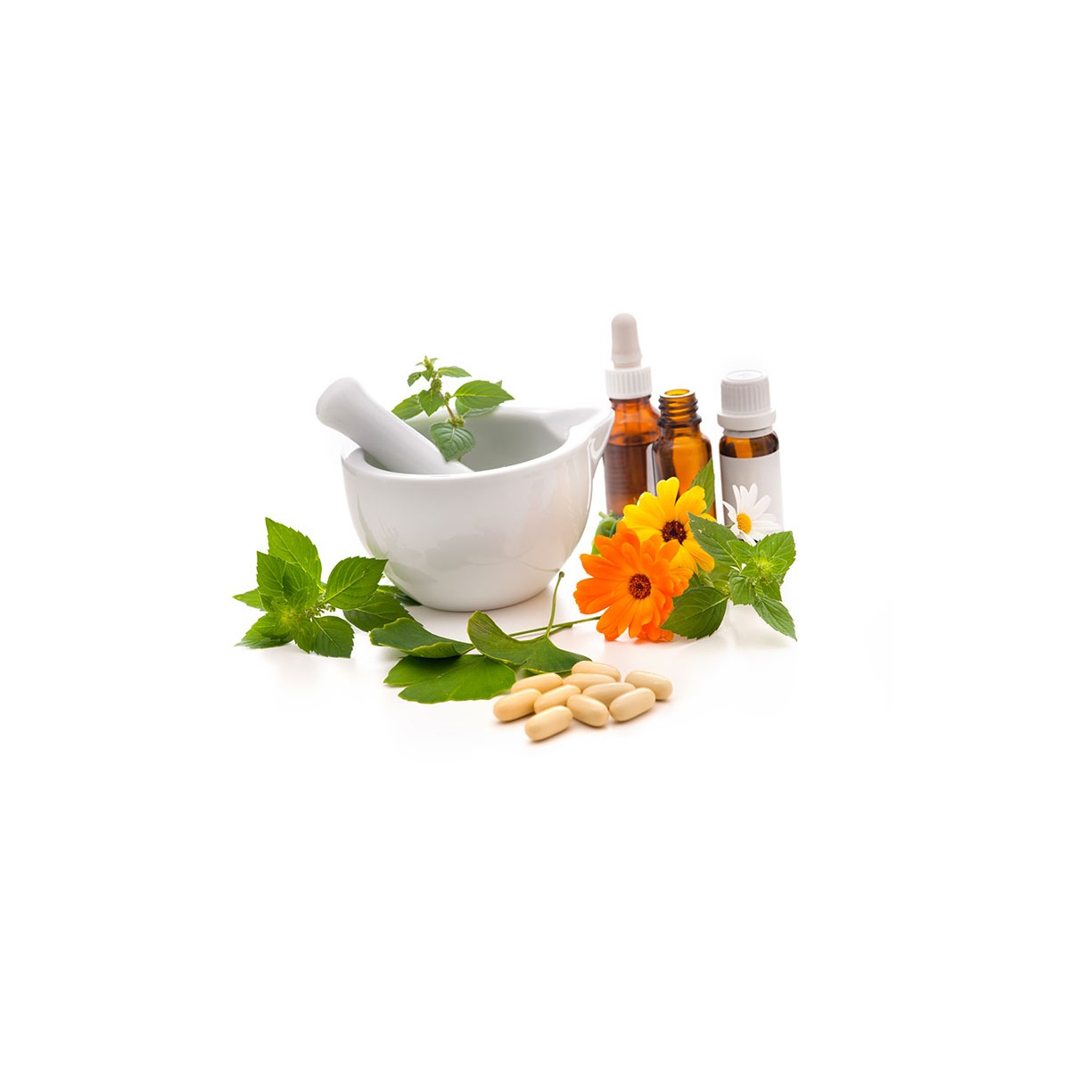 FINOCCHIO DOLCE FRUTTI 250 G