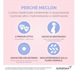 Meclon Crema Vaginale 30g 20% + 4% + 6 applicatori 2