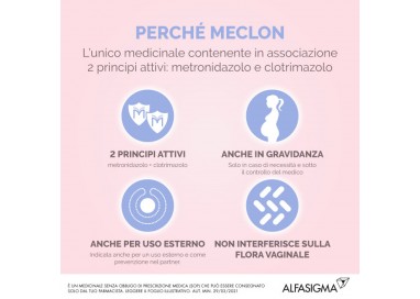 Meclon Crema Vaginale 30g 20% + 4% + 6 applicatori