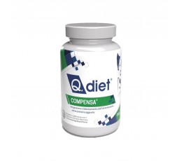 Compensa Q Diet Polvere 250g