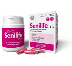 Senilife Plus 30 Capsule