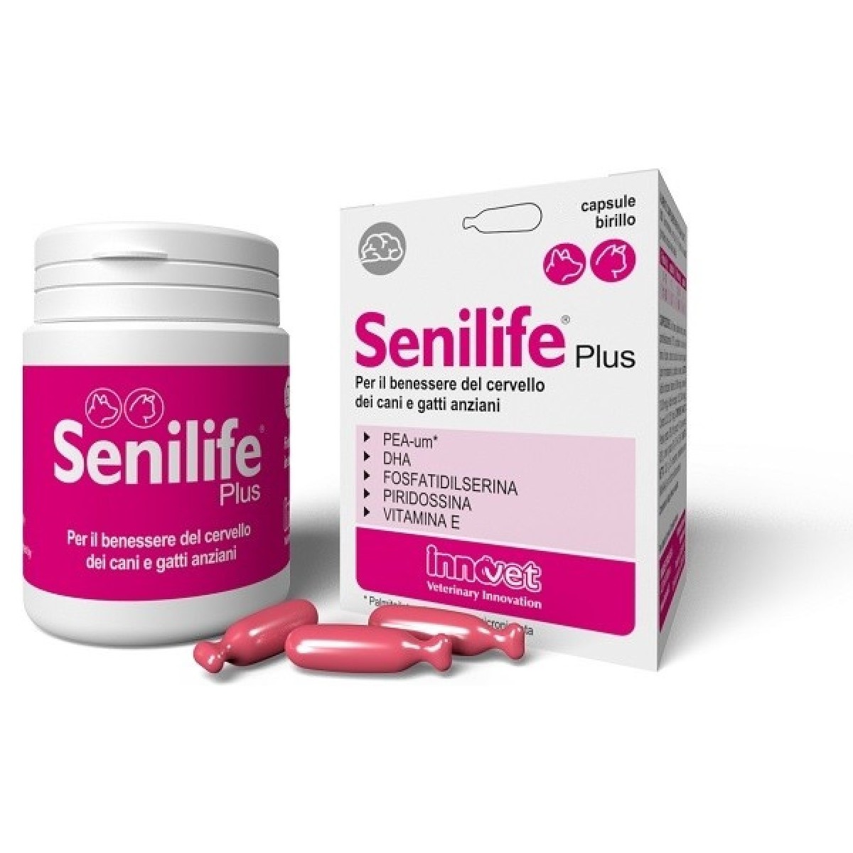 Senilife Plus 30 Capsule