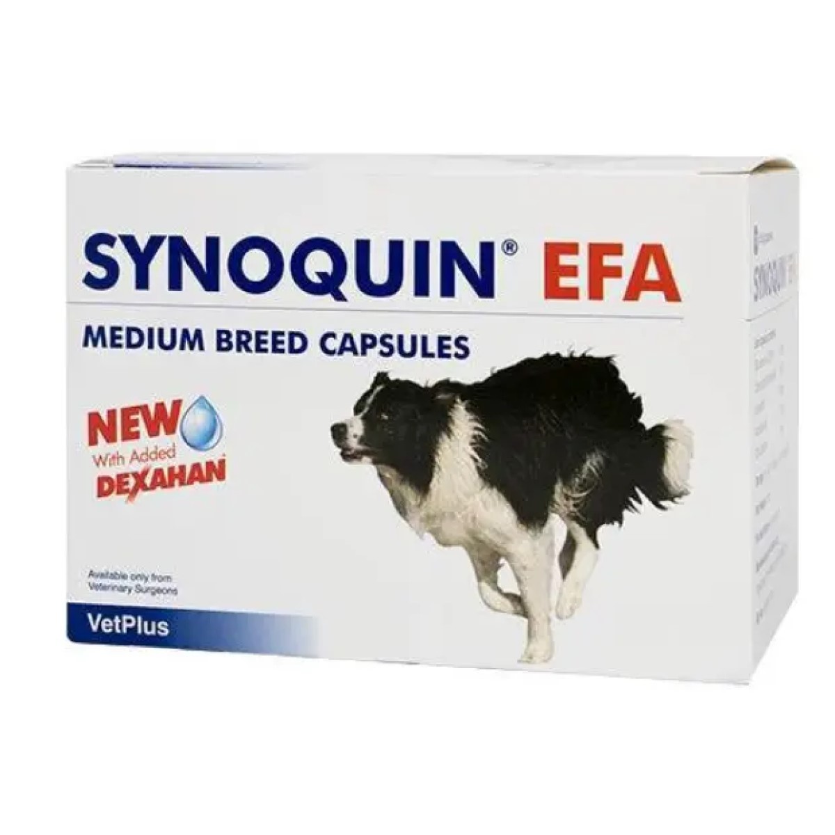 Synoquin Efa Medium Breed per Cani di Taglia...