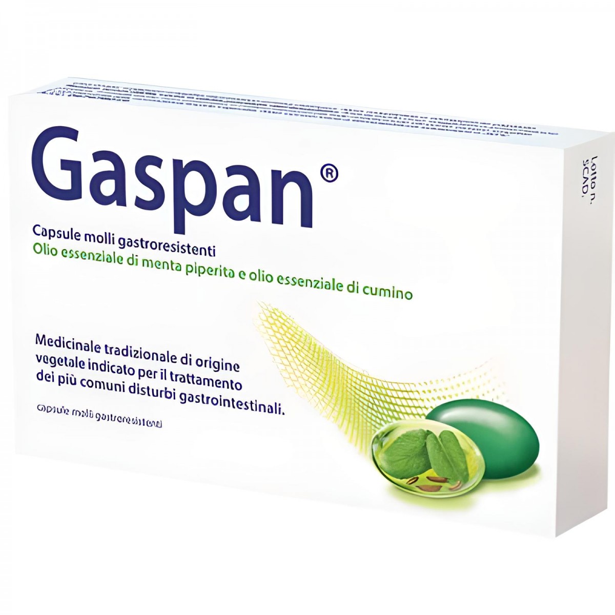 Schwabe Gaspan 14 Capsule Molli Gastroresistenti