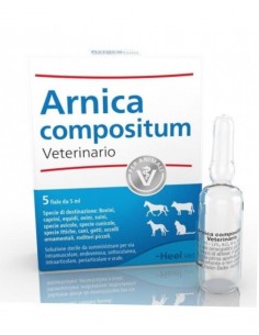 Arnica Compositum Veterinario 5 Fiale 5ml