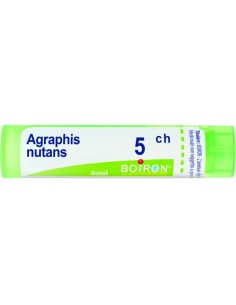 Boiron Agraphis Nutans 05Ch Tubo 80 Granuli 4g