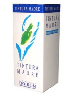 Betula Alba 60ml Tintura Madre