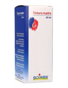 Thuya Occidentalis Tintura Madre Boiron 60ml