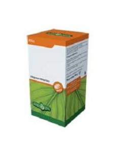 ZUCCA SEMI 50 PERLE