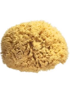 Spugna Naturale Grande