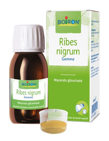 RIBES NIGRUM MACERATO GLICERICO 60 ML INT