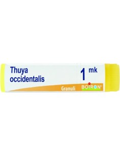 Boiron Thuya Occidentalis Globuli 1Mk Dose 1g