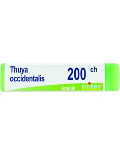 Boiron Thuya Occidentalis Globuli 200Ch Dose 1g