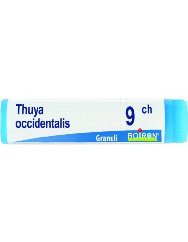 Boiron Thuya Occidentalis Globuli 09Ch Dose 1g