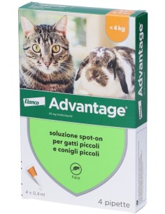 Advantage Spot On 4 Pipette 0,4ml Antiparassitario...