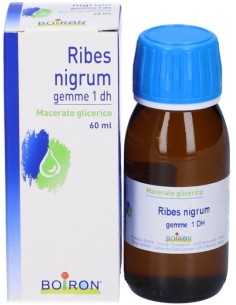 Ribes Nigrum Gemme Macerato Glicerico 60ml