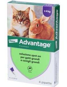 Advantage Spot On 4 Pipette 0,8ml Antiparassitario...