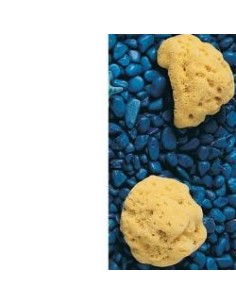 SPUGNA NAT FORI L 8/9 5 CM