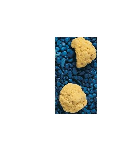 SPUGNA NAT FORI L 8/9 5 CM