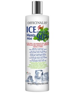 ICE GEL 90% 250 ML