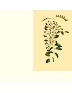 MIELE ACACIA BIOLOGICO 500 G