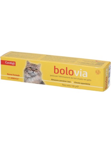 Bolo Via Pasta Gatti 100g