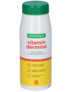 Vitamindermina Polvere Mentolo 100g