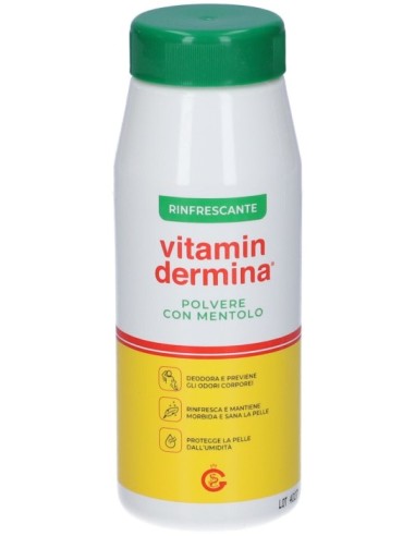 Vitamindermina Polvere Mentolo 100g