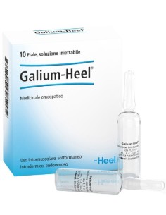 Galium Heel 10 Fiale 1,1ml