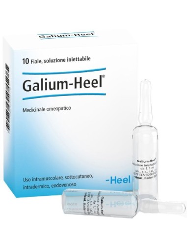 Galium Heel 10 Fiale 1,1ml