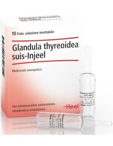 Glandula Thyreoidea Suis Injeel 10 Fiale