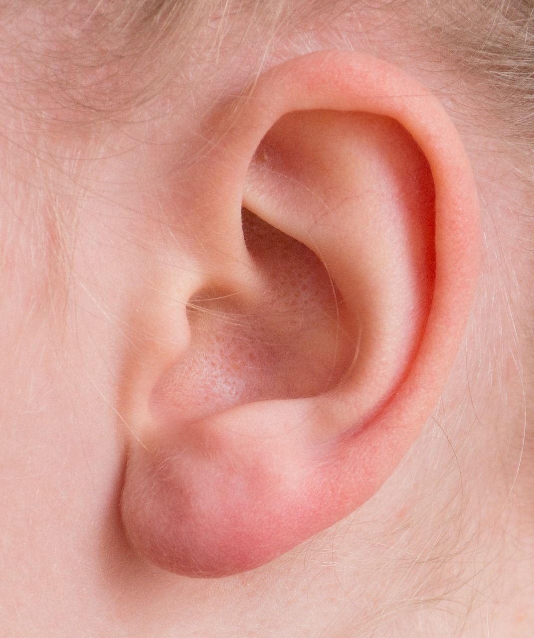 FOCUS-ORECCHIE-farmacia_trampetti