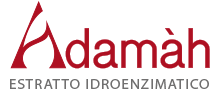 ADAMAH SRL